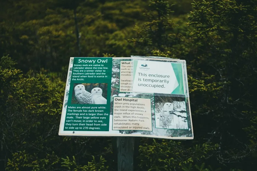 environment knowledge infographic